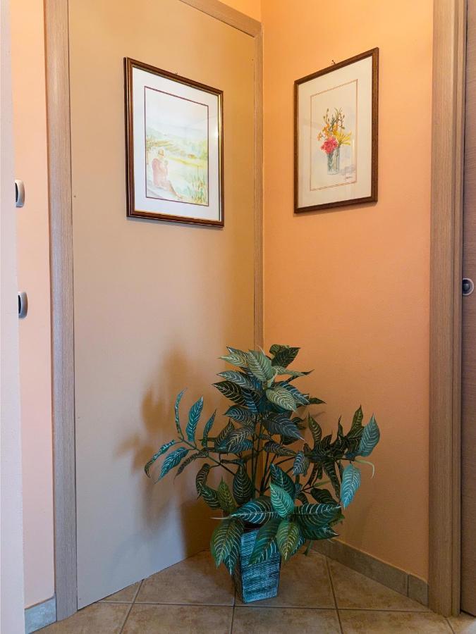 Sunny House Apartment Diano d'Alba Ngoại thất bức ảnh